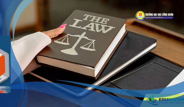 Featured image for: Nên học ngành luật nào? Cách chọn chuyên ngành phù hợp