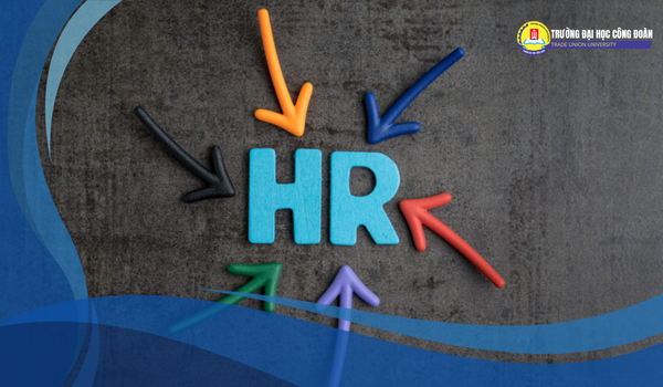 Featured image for: HR là ngành gì? Giải mã ngành học của con người và chiến lược