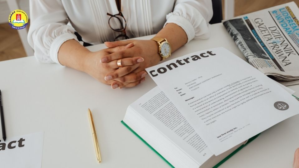 5 Cơ hội việc làm ngành Luật phổ biến hiện nay