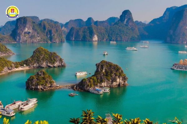 lien-thong-nganh-viet-nam-hoc (3)