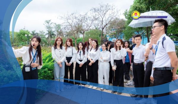 Featured image for: Ngành việt nam học có dễ xin việc​ không? Cơ hội việc làm