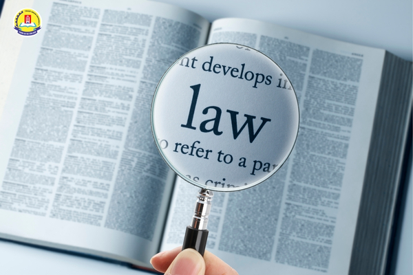 nen-hoc-luat-hay-luat-kinh-te-so-sanh