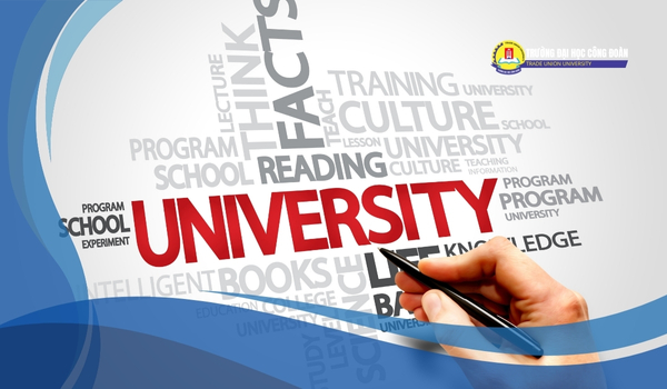 Featured image for: Liên thông đại học 2025: Quy định, Điều kiện & Lộ trình chi tiết