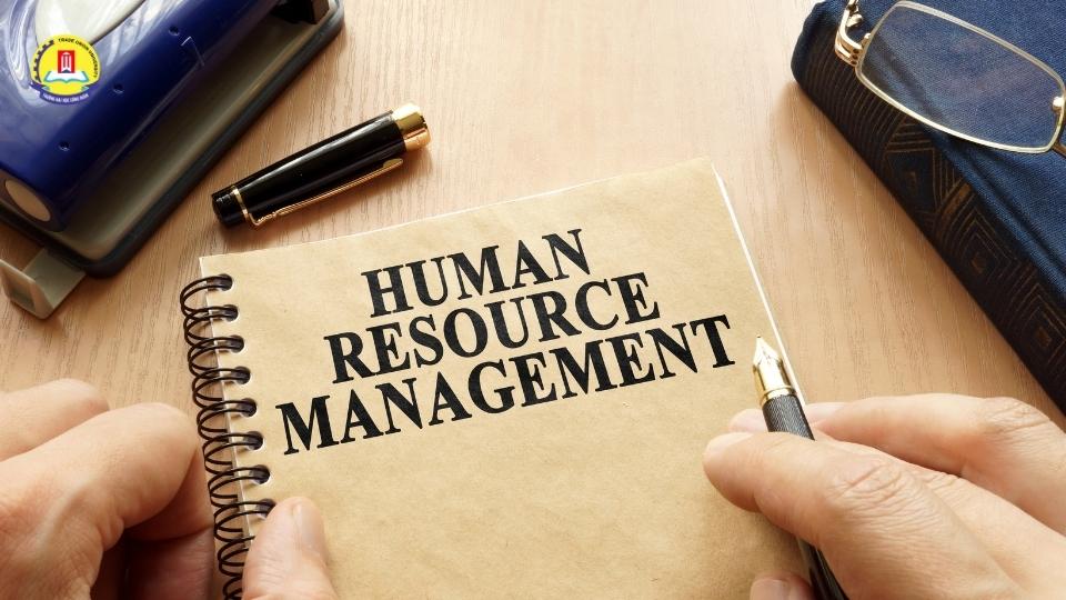 Học Quản trị Nhân lực ra làm gì để có mức lương cao?