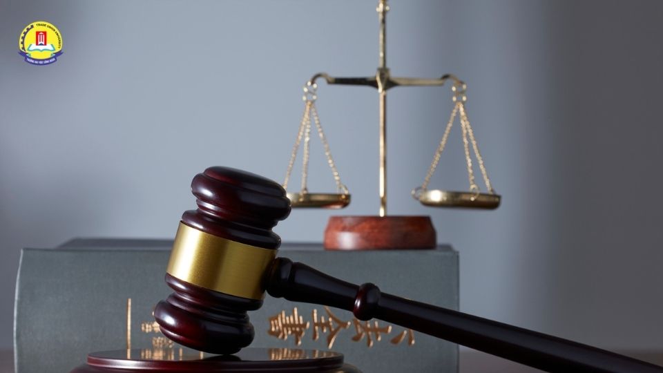 Nên chọn chuyên ngành luật nào phù hợp với bản thân?